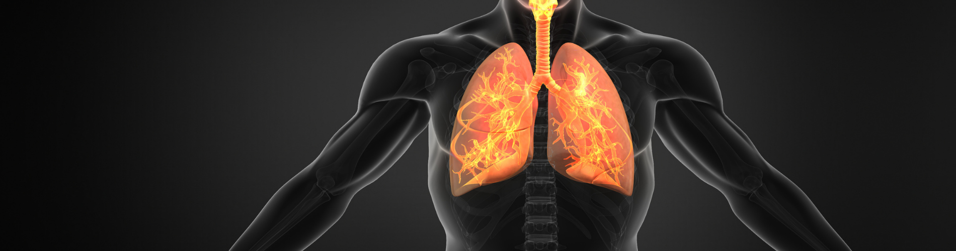 What is a Respiratory Therapist? Career Paths, Job Outlook + More